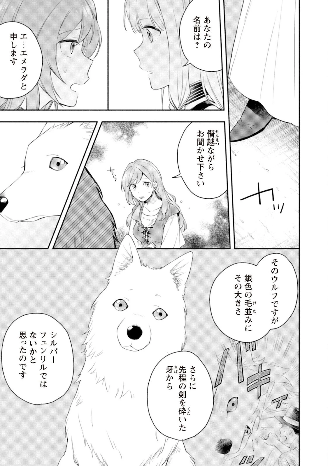 異世界転移したら愛犬が最強になりました~シルバーフェンリルと俺が異世界暮らしを始めたら~ 第7話 - 6