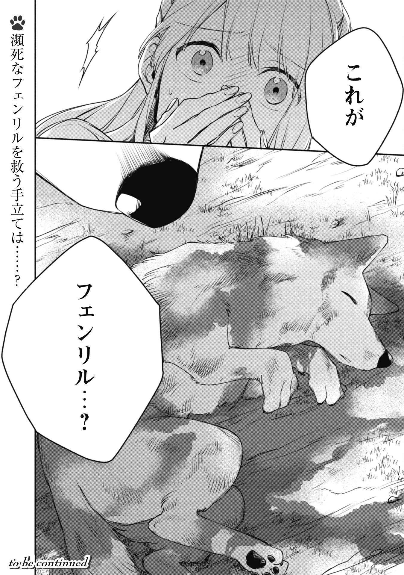 異世界転移したら愛犬が最強になりました~シルバーフェンリルと俺が異世界暮らしを始めたら~ 第16話 - 21