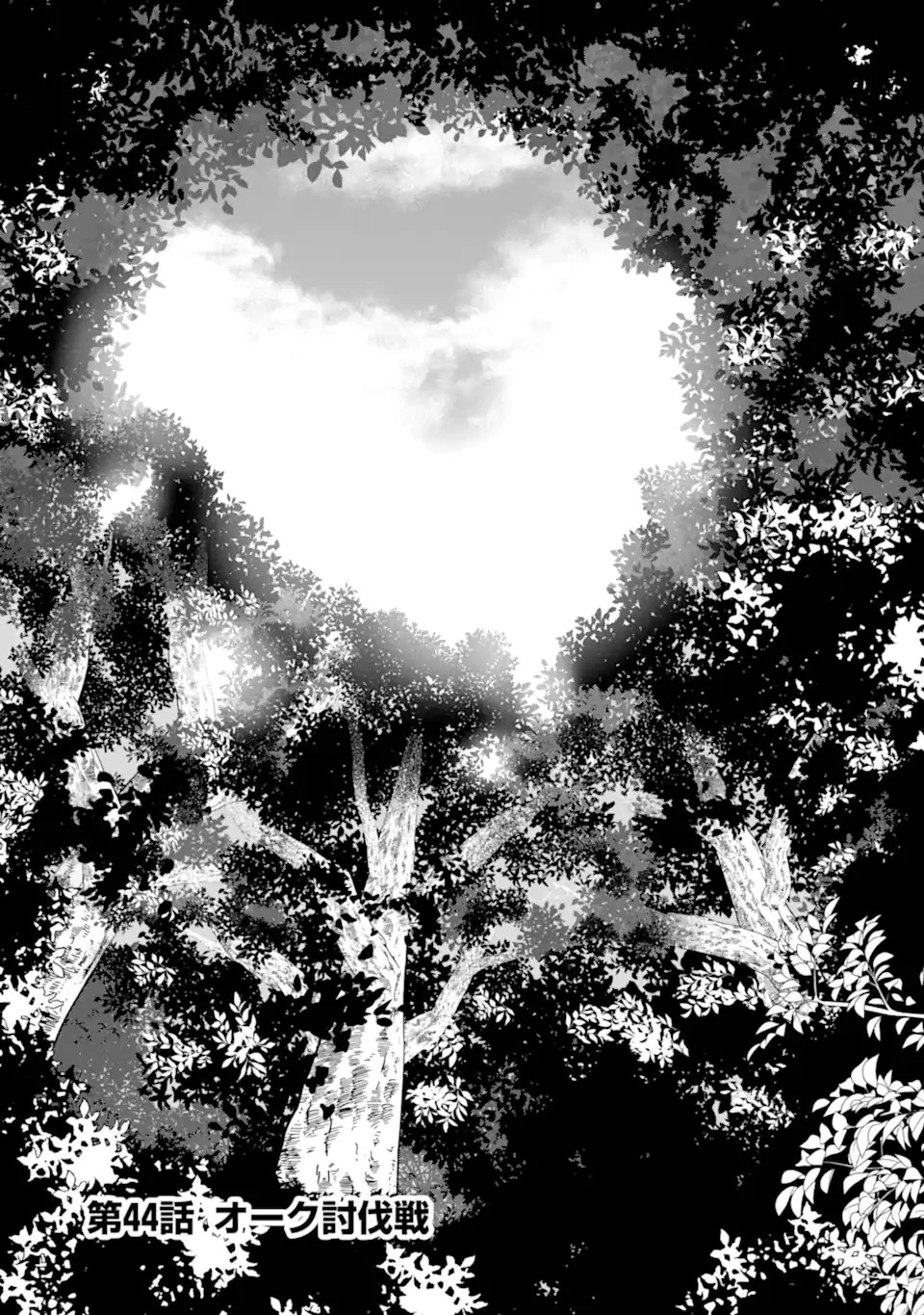 万年Dランクの中年冒険者、酔った勢いで伝説の剣を引っこ抜く 第44.2話 - 1