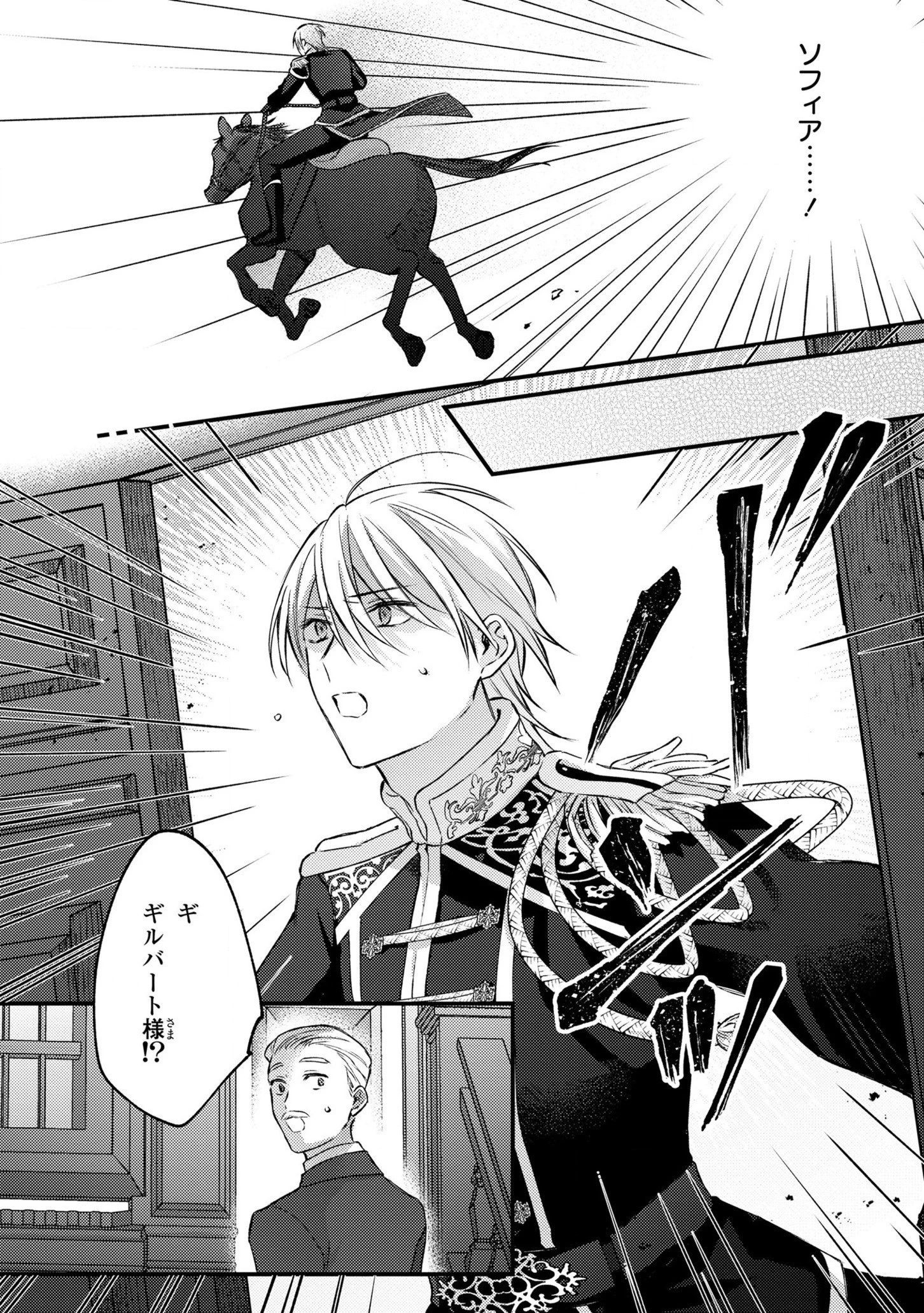 捨てられ男爵令嬢は黒騎士様のお気に入り 第11話 - 28