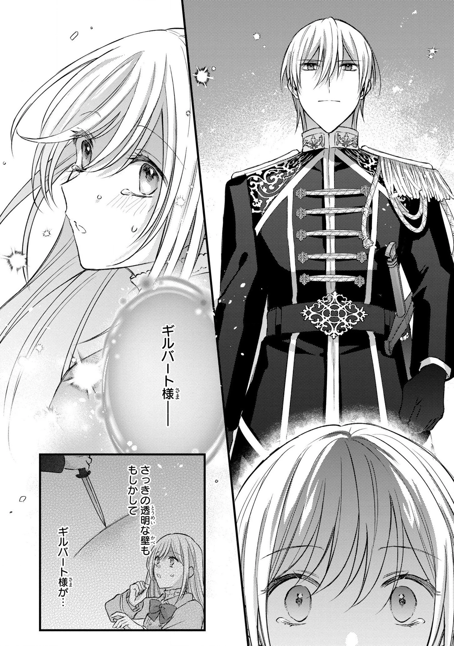 捨てられ男爵令嬢は黒騎士様のお気に入り 第12話 - 8