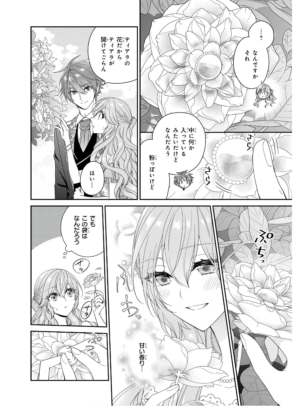 悪役令嬢は隣国の王太子に溺愛される 第33話 - 22