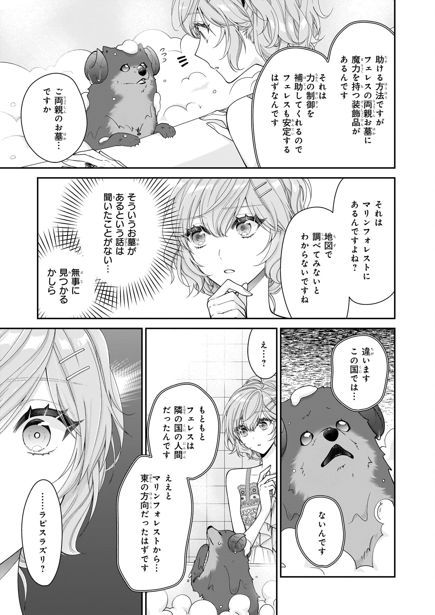 悪役令嬢は隣国の王太子に溺愛される 第51話 - 17