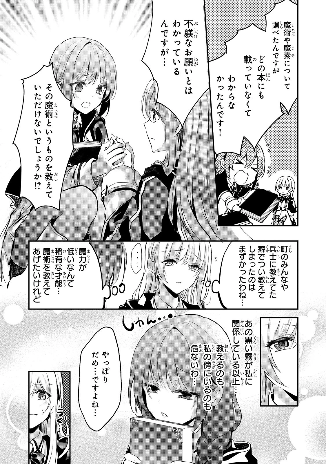 王女殿下はお怒りのようです 第7話 - 13