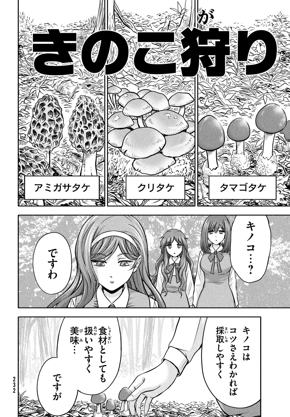 あ！ 野生のお嬢様がとびだしてきた!! 第11話 - 4