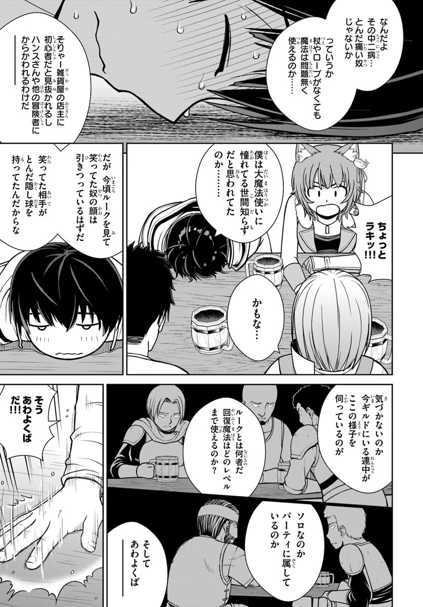 極振り拒否して手探りスタート！　特化しないヒーラー、仲間と別れて旅に出る 第4話 - 13