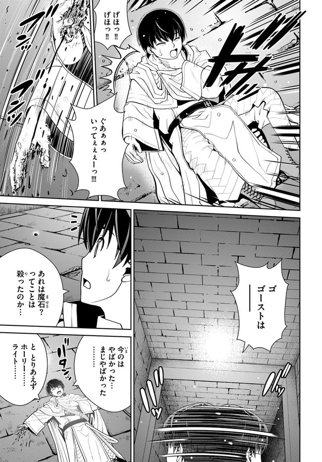 極振り拒否して手探りスタート！　特化しないヒーラー、仲間と別れて旅に出る 第22話 - 13