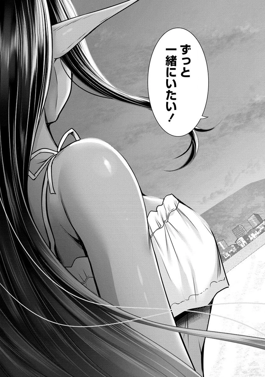 ちょっとだけ愛が重いダークエルフが異世界から追いかけてきた 第11話 - 17