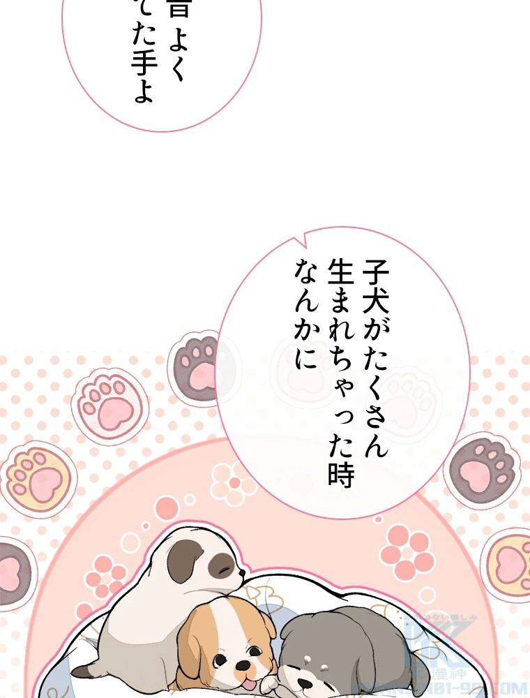 推しを拒んだらトレンド入りしました 242話 - 16