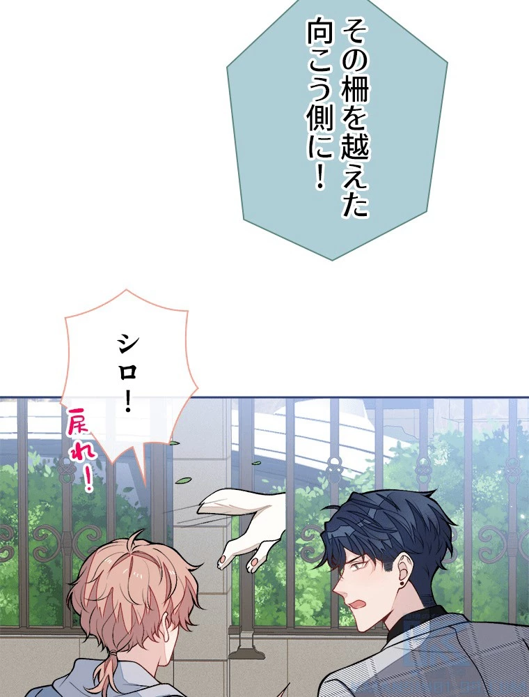 推しを拒んだらトレンド入りしました 242話 - 52