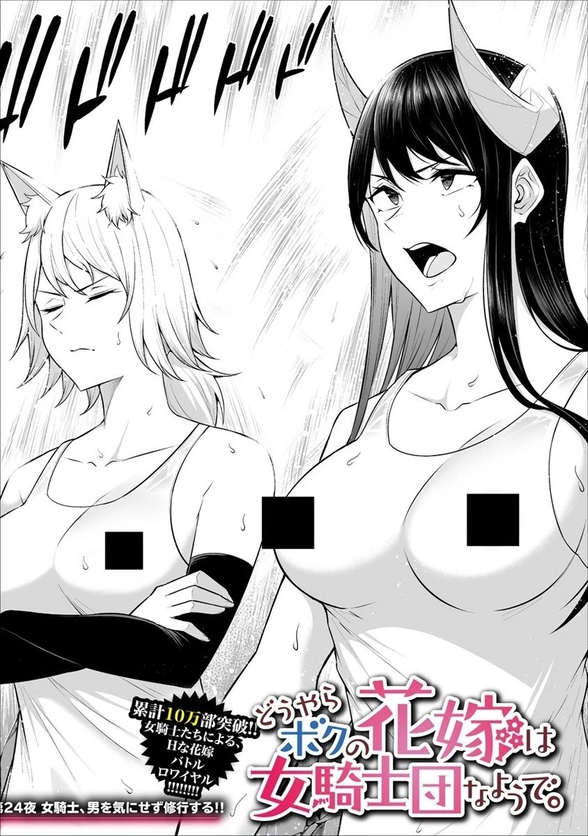 どうやらボクの花嫁は女騎士団なようで。 第24話 - 2