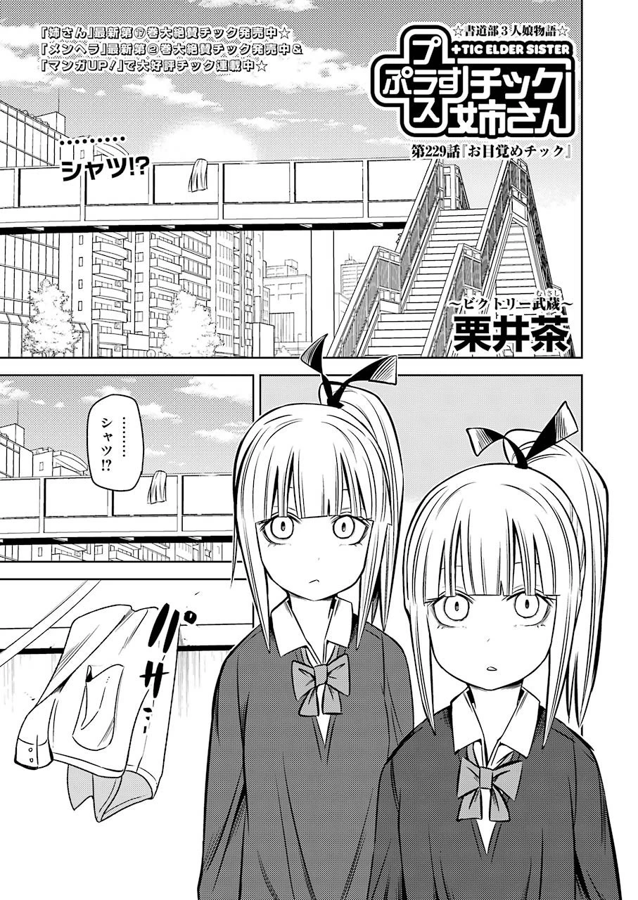 プラスチック姉さん 第229話 - 1