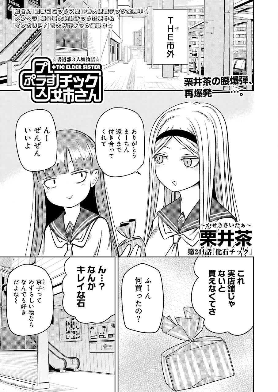 プラスチック姉さん 第244話 - 1