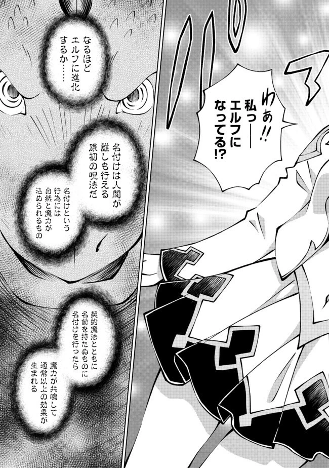 没落予定の貴族だけど、暇だったから魔法を極めてみた 第10話 - 17