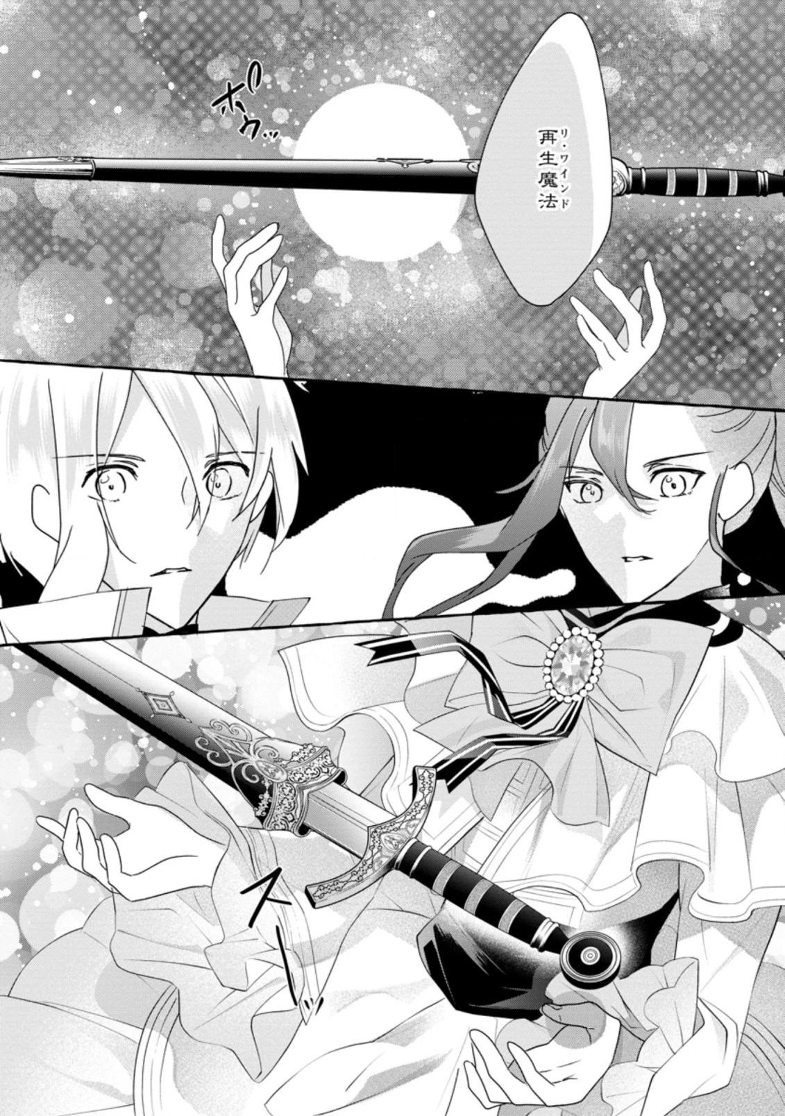 姉の身代わりで婚約したら何故か辺境の聖女と呼ばれるようになりました 第5.2話 - 10