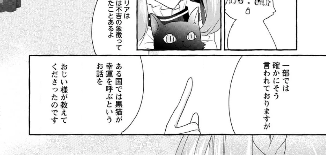 姉の身代わりで婚約したら何故か辺境の聖女と呼ばれるようになりました 第10話 - 29