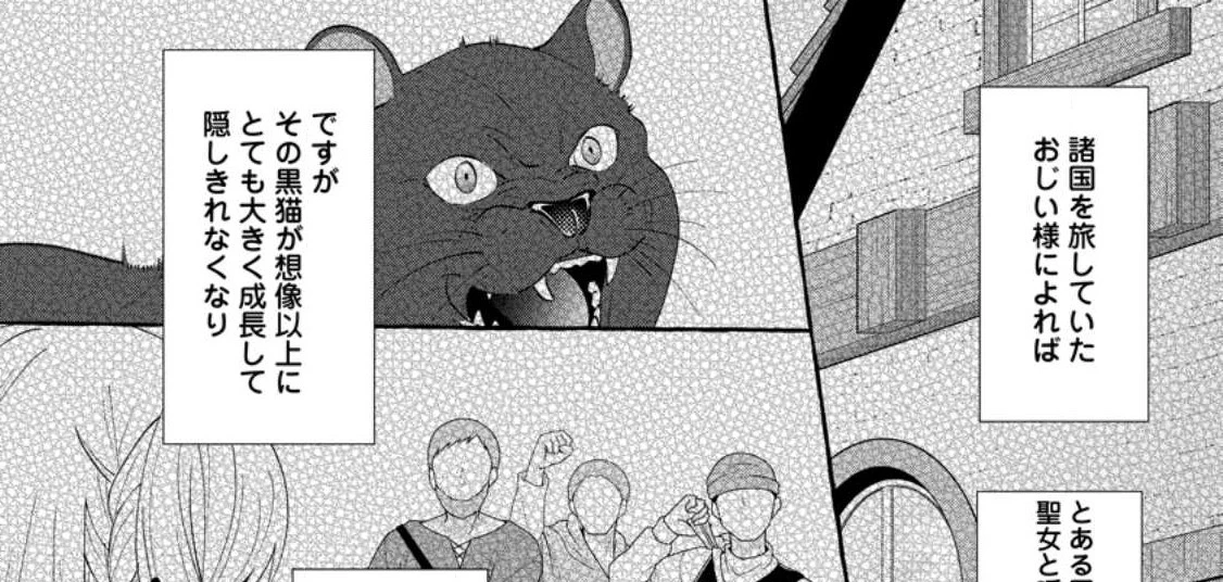 姉の身代わりで婚約したら何故か辺境の聖女と呼ばれるようになりました 第10話 - 31