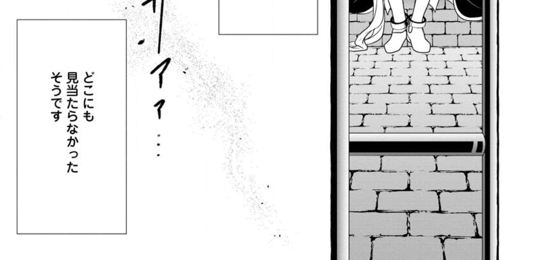 姉の身代わりで婚約したら何故か辺境の聖女と呼ばれるようになりました 第10.1話 - 12