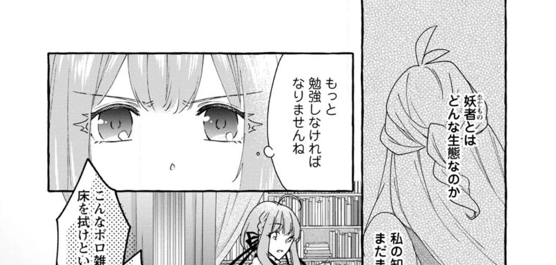 姉の身代わりで婚約したら何故か辺境の聖女と呼ばれるようになりました 第10.1話 - 13