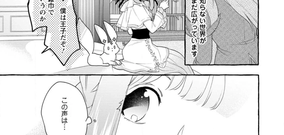 姉の身代わりで婚約したら何故か辺境の聖女と呼ばれるようになりました 第10.1話 - 14