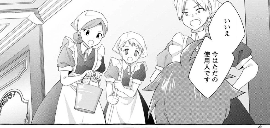 姉の身代わりで婚約したら何故か辺境の聖女と呼ばれるようになりました 第10.1話 - 16