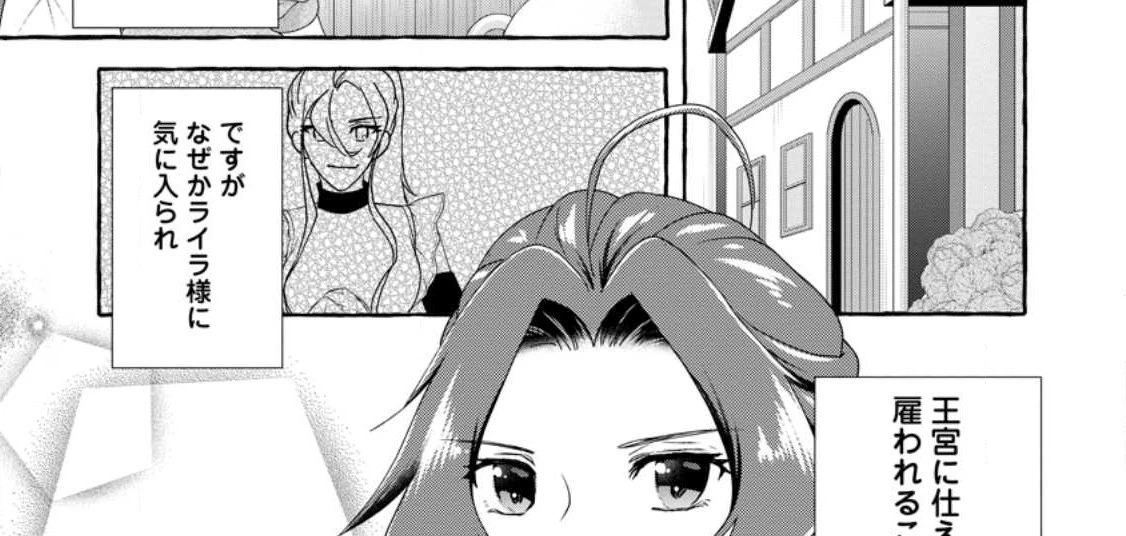 姉の身代わりで婚約したら何故か辺境の聖女と呼ばれるようになりました 第10.1話 - 20