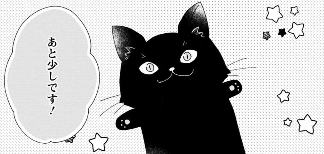 姉の身代わりで婚約したら何故か辺境の聖女と呼ばれるようになりました 第10.1話 - 25