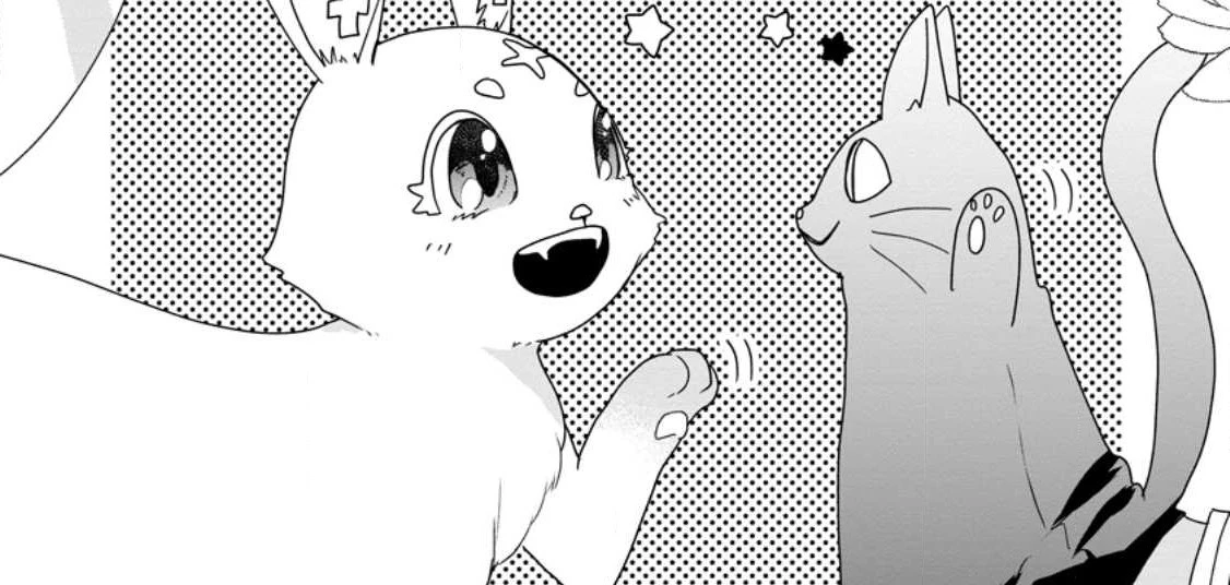 姉の身代わりで婚約したら何故か辺境の聖女と呼ばれるようになりました 第11.1話 - 2