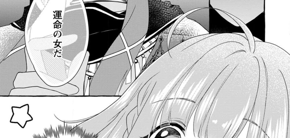 姉の身代わりで婚約したら何故か辺境の聖女と呼ばれるようになりました 第11.1話 - 5