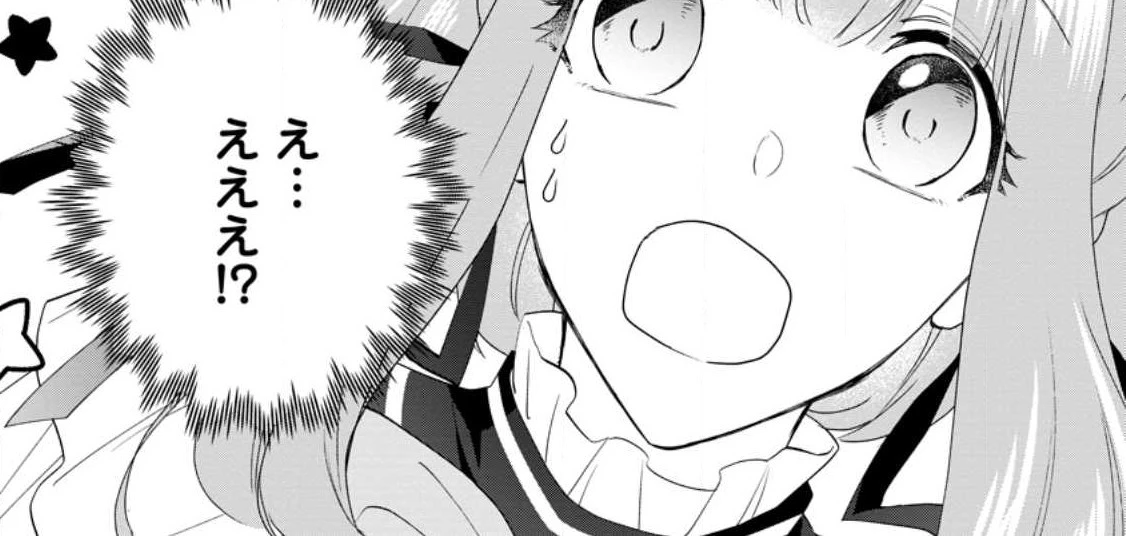 姉の身代わりで婚約したら何故か辺境の聖女と呼ばれるようになりました 第11.1話 - 6