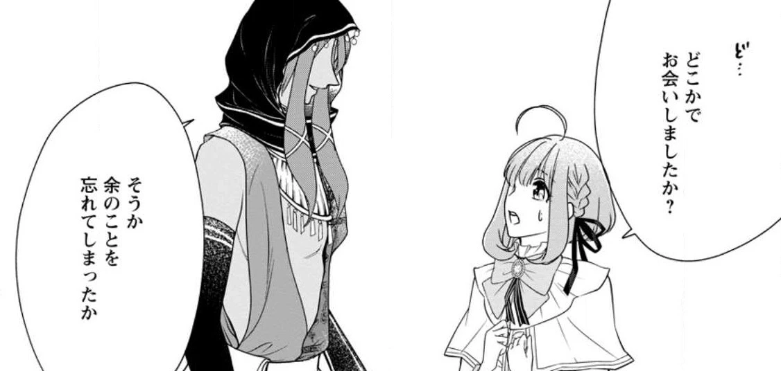 姉の身代わりで婚約したら何故か辺境の聖女と呼ばれるようになりました 第11.1話 - 7
