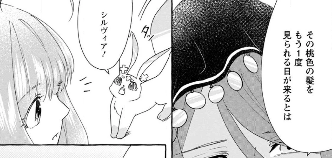 姉の身代わりで婚約したら何故か辺境の聖女と呼ばれるようになりました 第11.1話 - 10