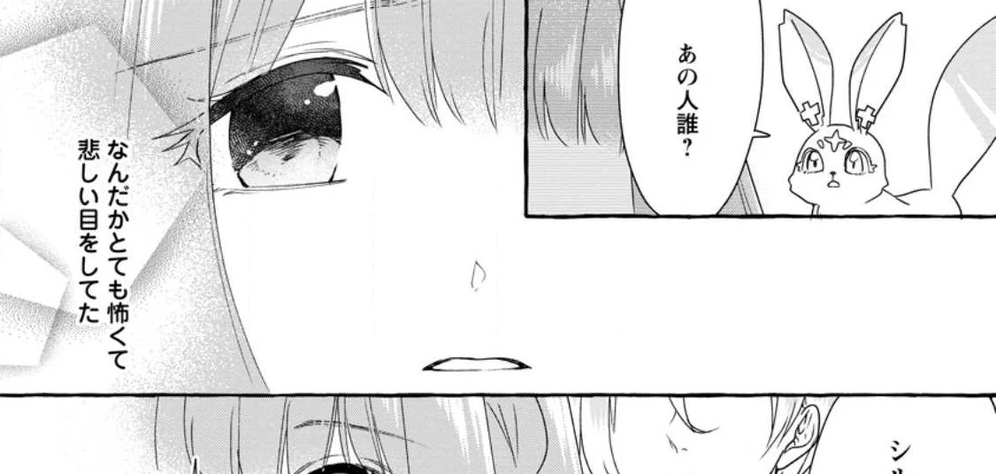 姉の身代わりで婚約したら何故か辺境の聖女と呼ばれるようになりました 第11.1話 - 13