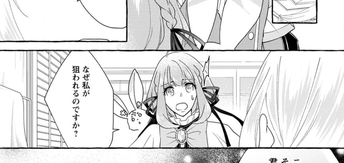 姉の身代わりで婚約したら何故か辺境の聖女と呼ばれるようになりました 第11.1話 - 17