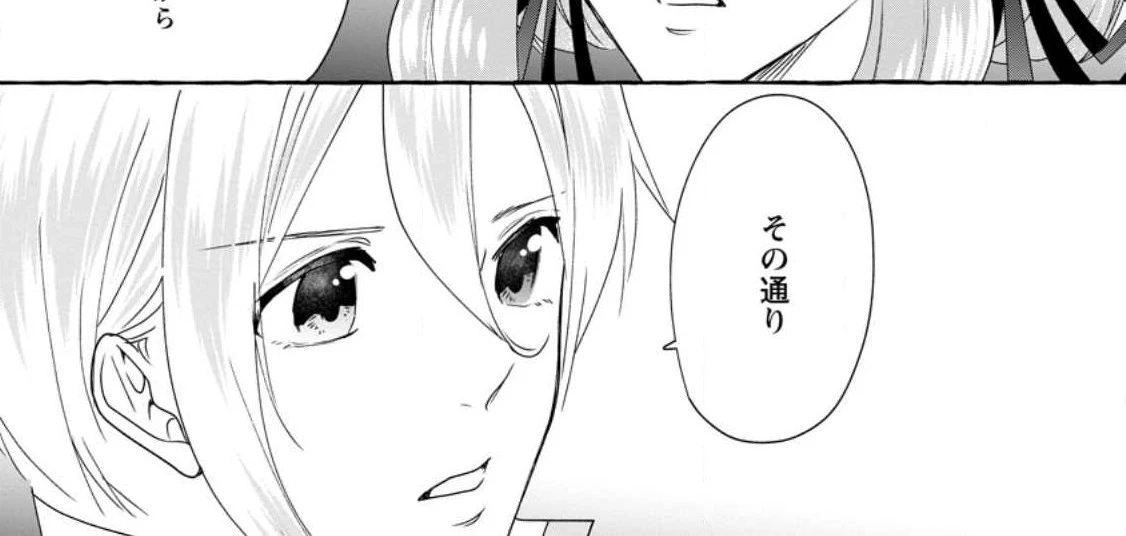 姉の身代わりで婚約したら何故か辺境の聖女と呼ばれるようになりました 第11.1話 - 30