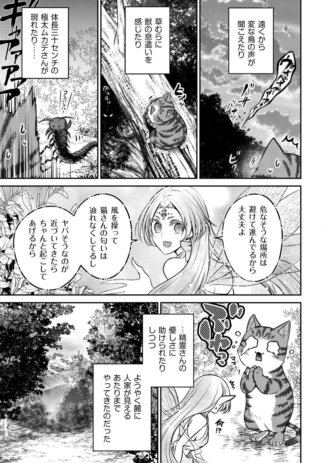 我輩は猫魔導師である～キジトラ・ルークの快適チート猫生活～ 第2話 - 3