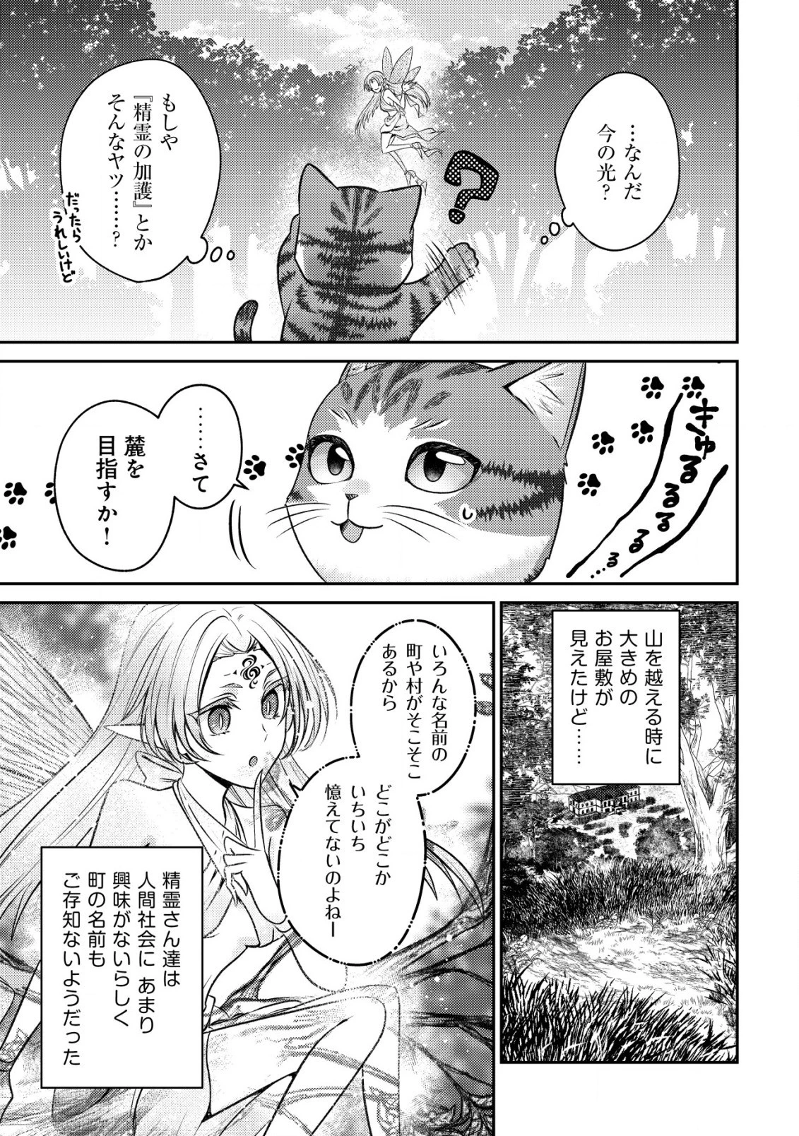 我輩は猫魔導師である～キジトラ・ルークの快適チート猫生活～ 第2話 - 5