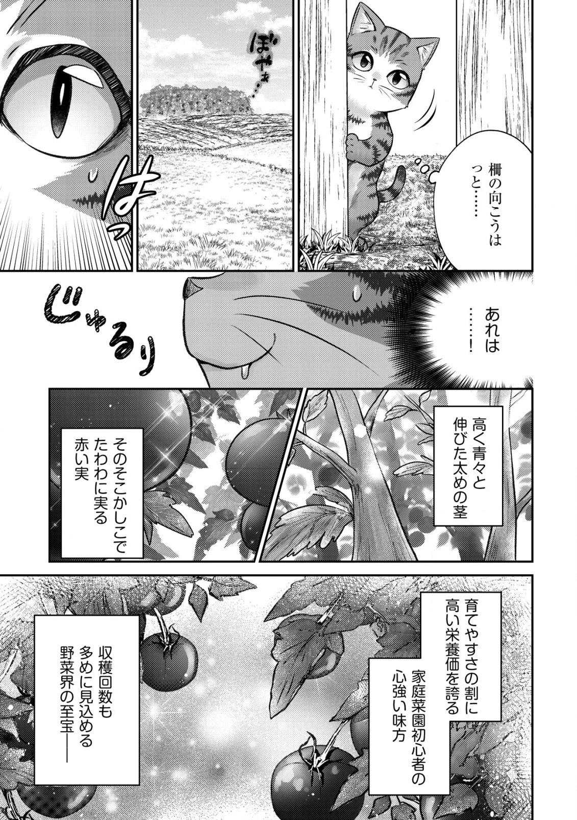 我輩は猫魔導師である～キジトラ・ルークの快適チート猫生活～ 第2話 - 7