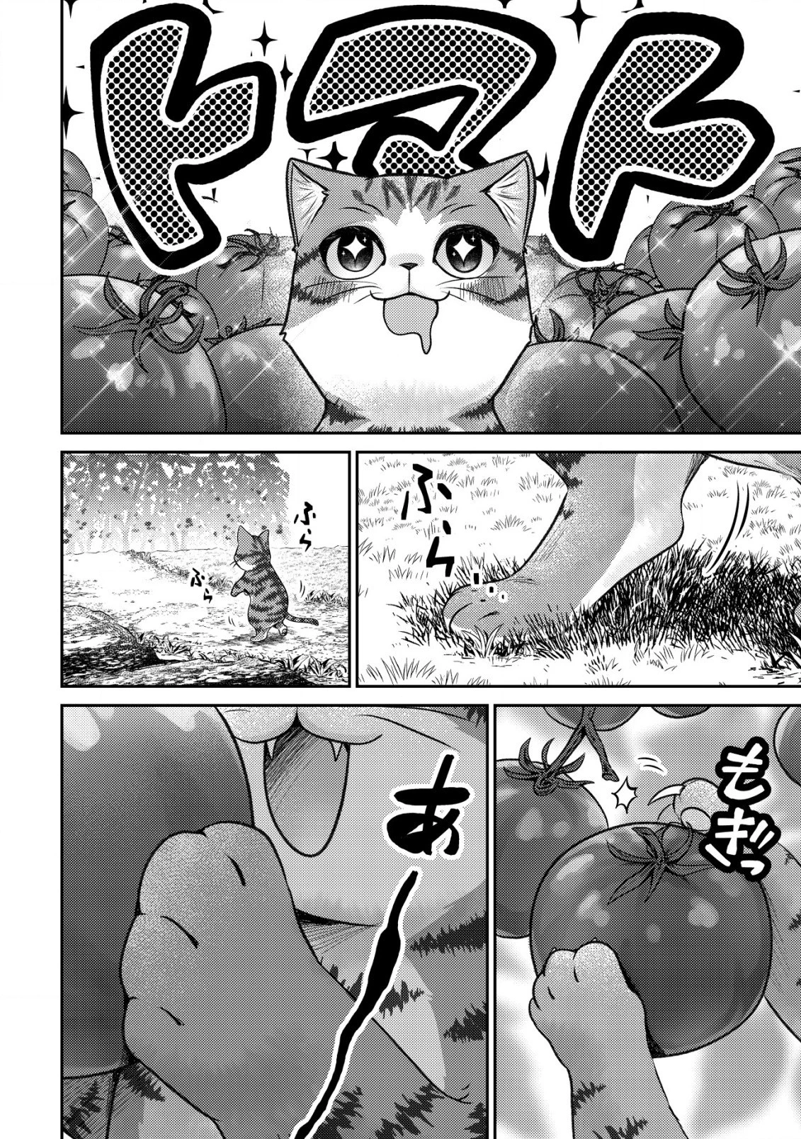 我輩は猫魔導師である～キジトラ・ルークの快適チート猫生活～ 第2話 - 8