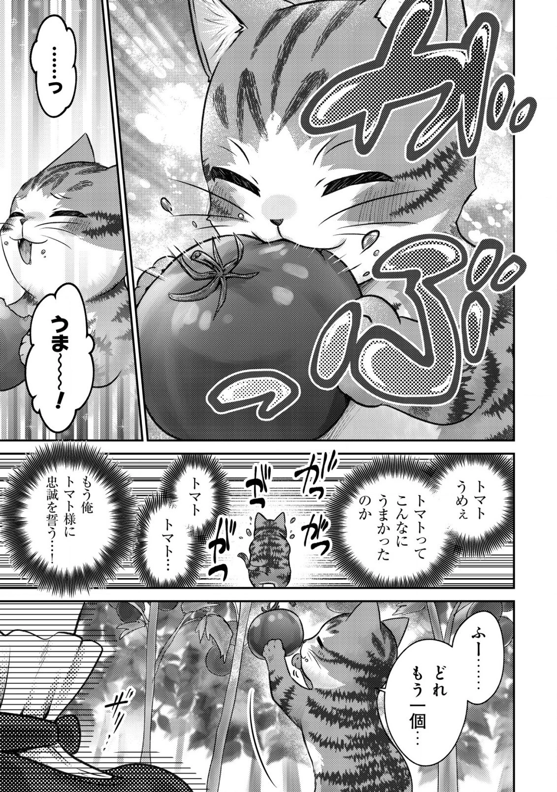 我輩は猫魔導師である～キジトラ・ルークの快適チート猫生活～ 第2話 - 9