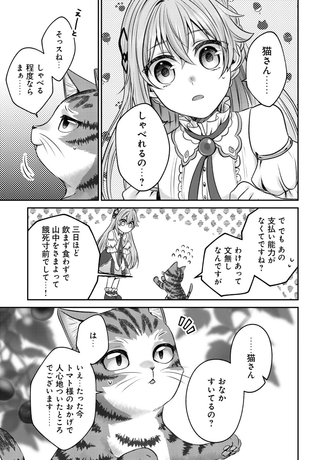我輩は猫魔導師である～キジトラ・ルークの快適チート猫生活～ 第2話 - 13