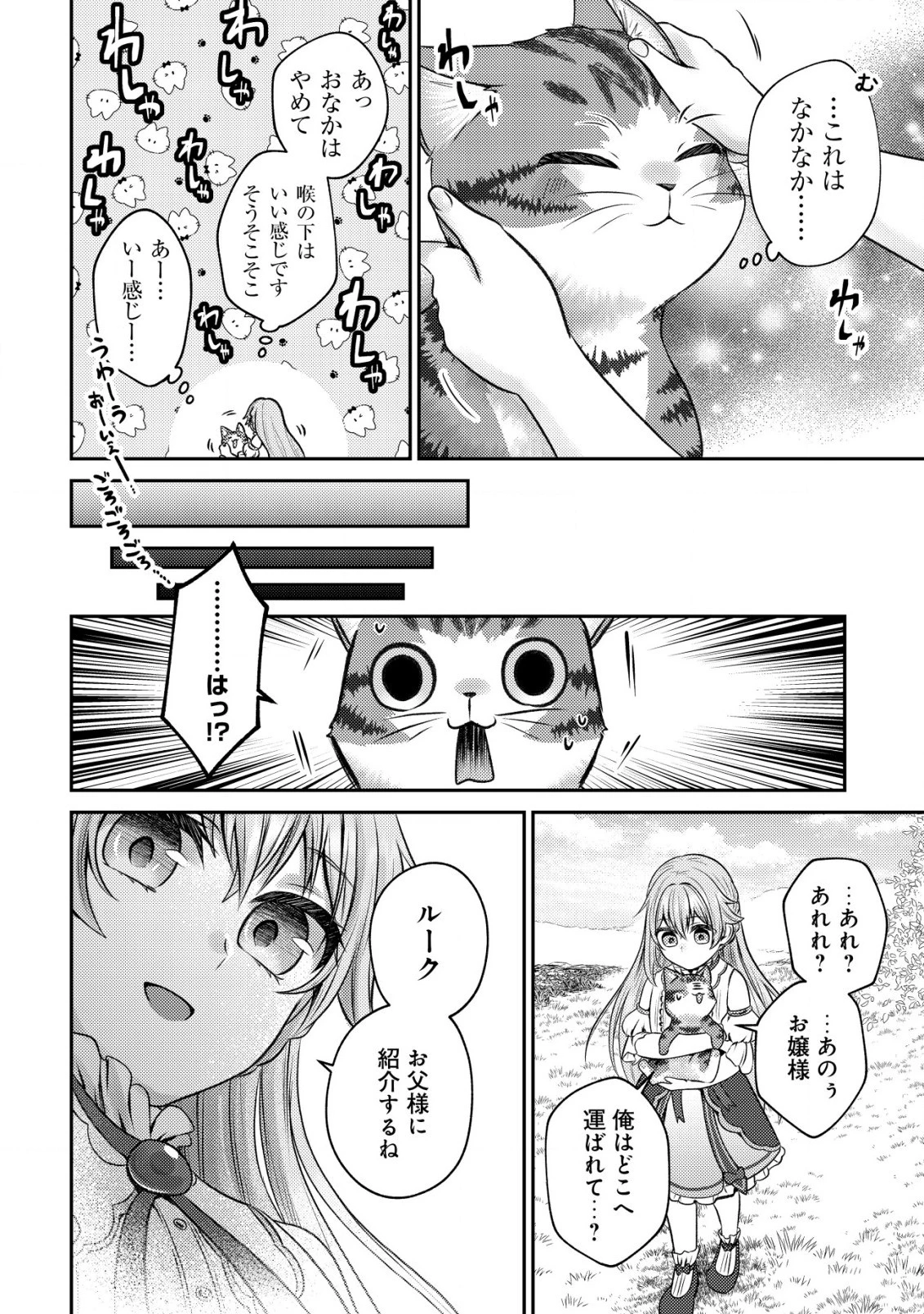 我輩は猫魔導師である～キジトラ・ルークの快適チート猫生活～ 第2話 - 16