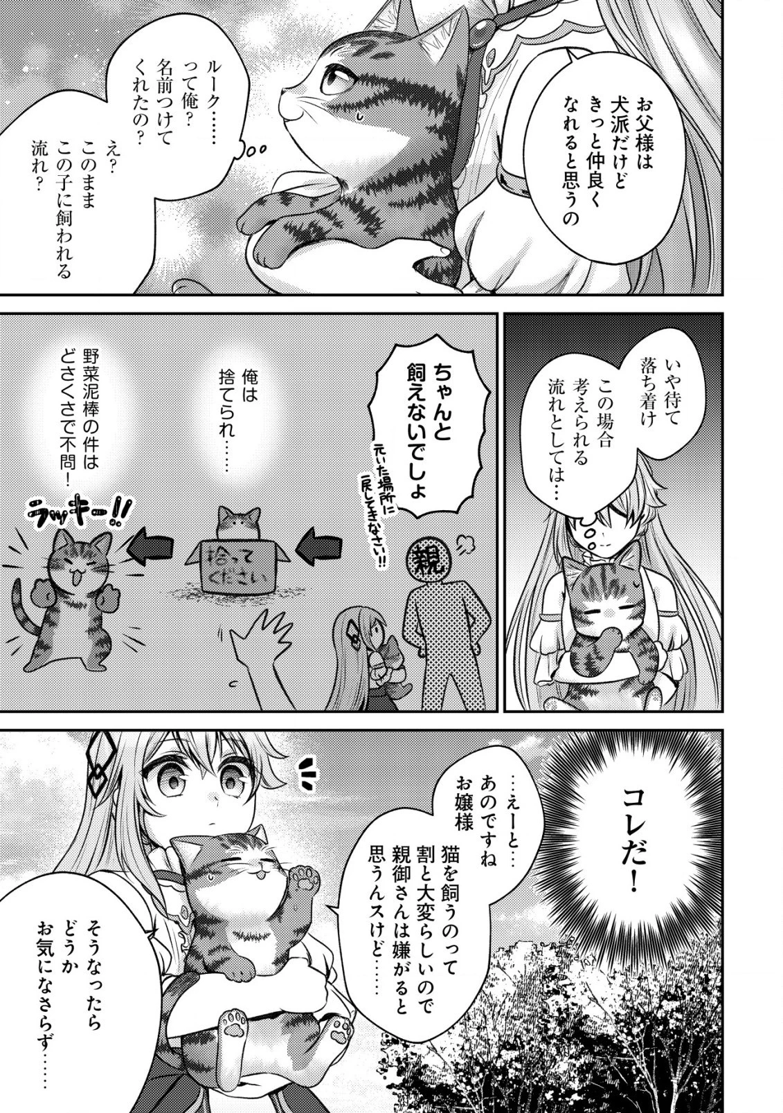 我輩は猫魔導師である～キジトラ・ルークの快適チート猫生活～ 第2話 - 17