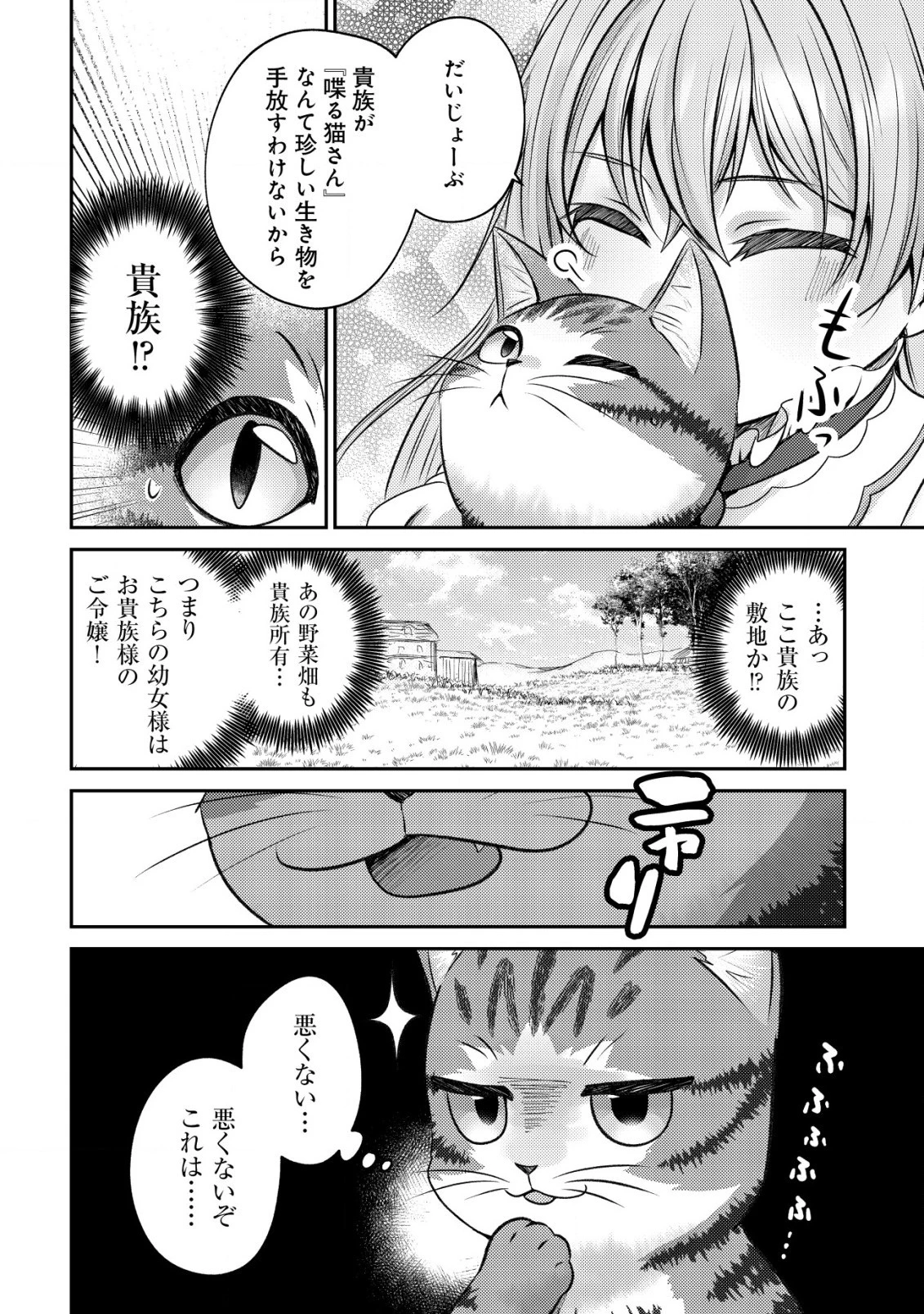 我輩は猫魔導師である～キジトラ・ルークの快適チート猫生活～ 第2話 - 18