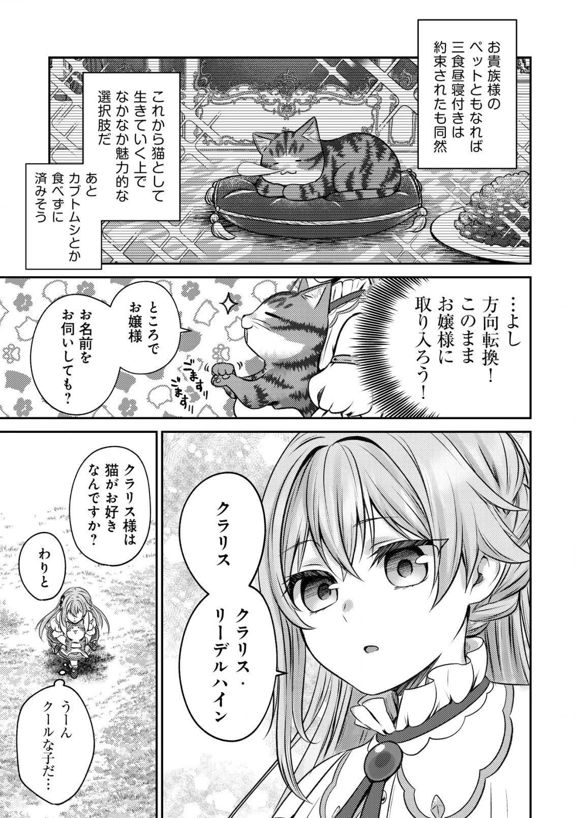 我輩は猫魔導師である～キジトラ・ルークの快適チート猫生活～ 第2話 - 19
