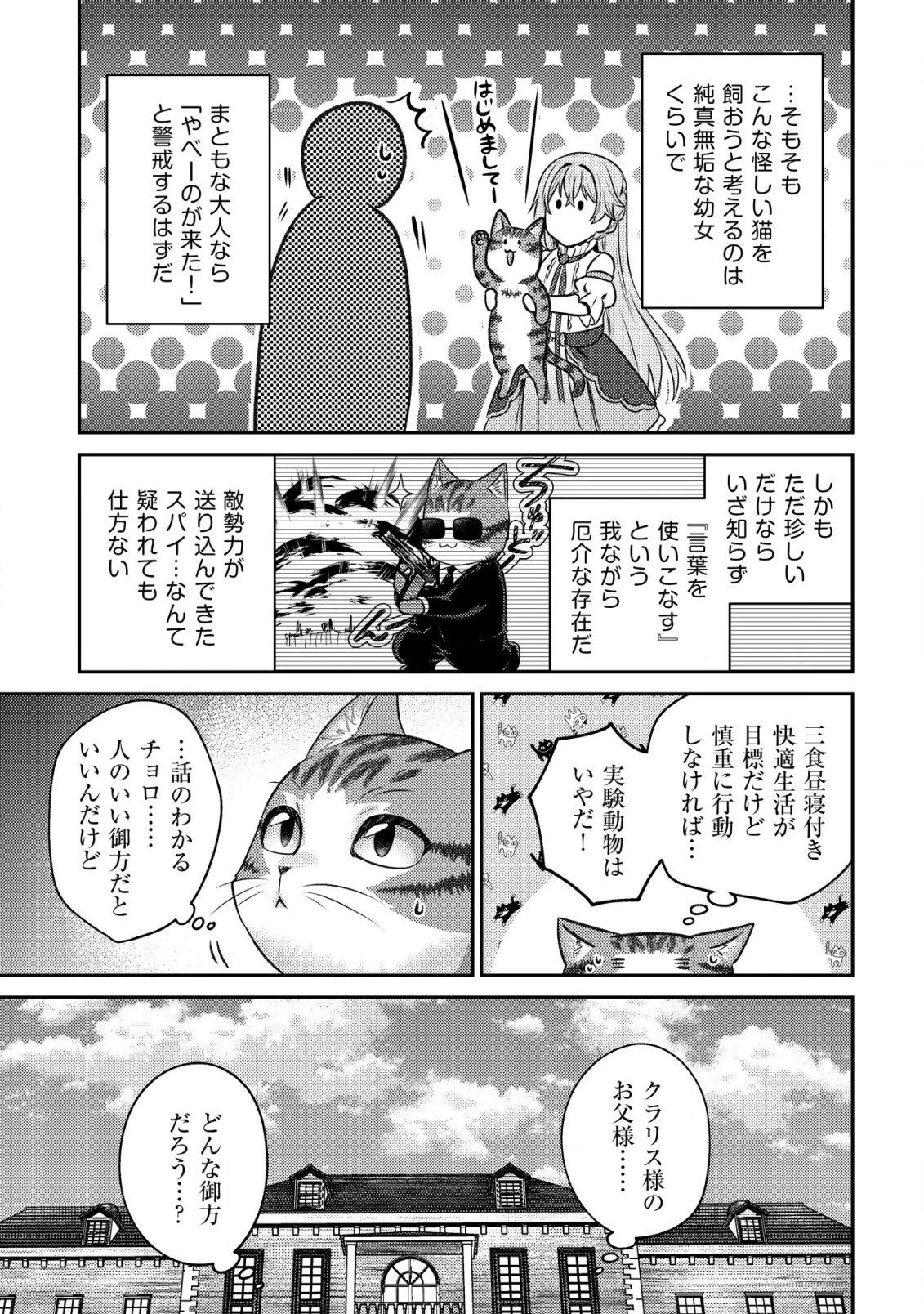 我輩は猫魔導師である～キジトラ・ルークの快適チート猫生活～ 第2話 - 21