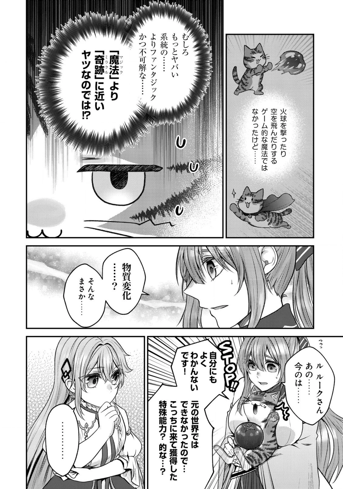 我輩は猫魔導師である～キジトラ・ルークの快適チート猫生活～ 第5話 - 4