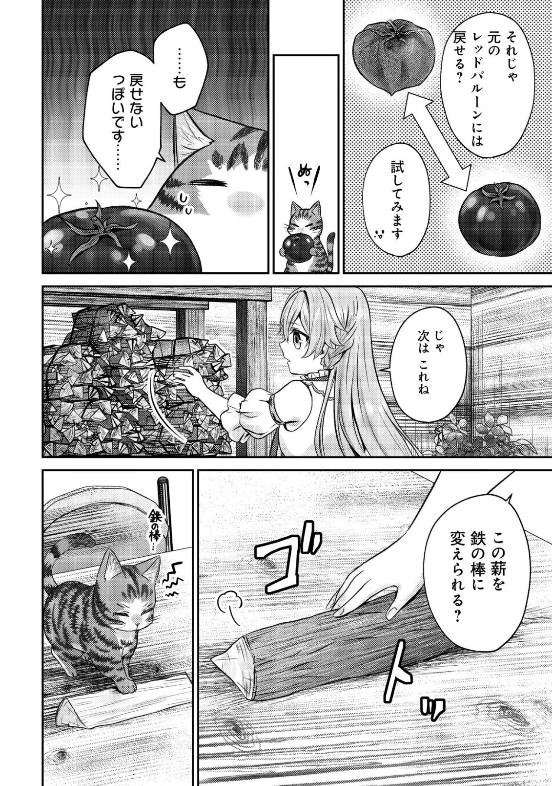 我輩は猫魔導師である～キジトラ・ルークの快適チート猫生活～ 第5話 - 6