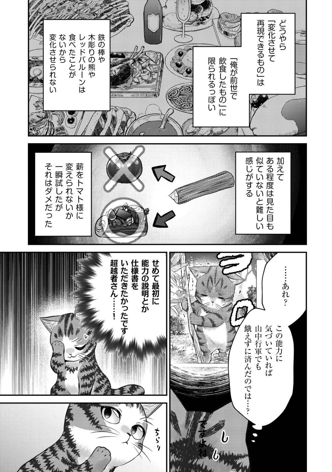 我輩は猫魔導師である～キジトラ・ルークの快適チート猫生活～ 第5話 - 9