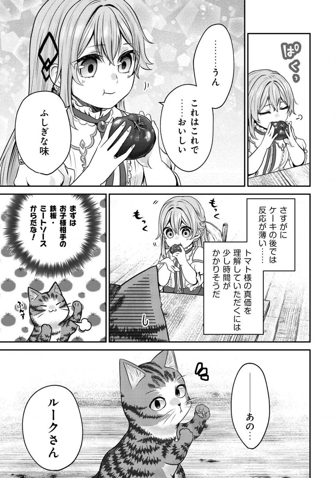 我輩は猫魔導師である～キジトラ・ルークの快適チート猫生活～ 第5話 - 17